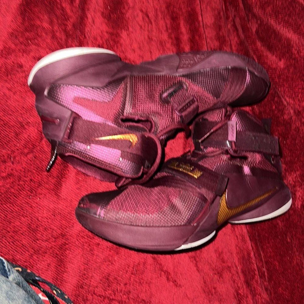 Lebrons - Picture 2 of 4
